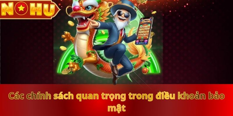 cac-chinh-sach-quan-trong-trong-dieu-khoan-bao-mat