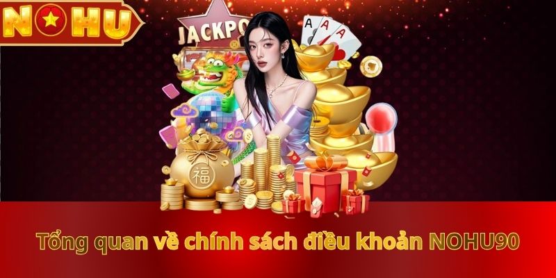 tong-quan-ve-chinh-sach-dieu-khoan-nohu90
